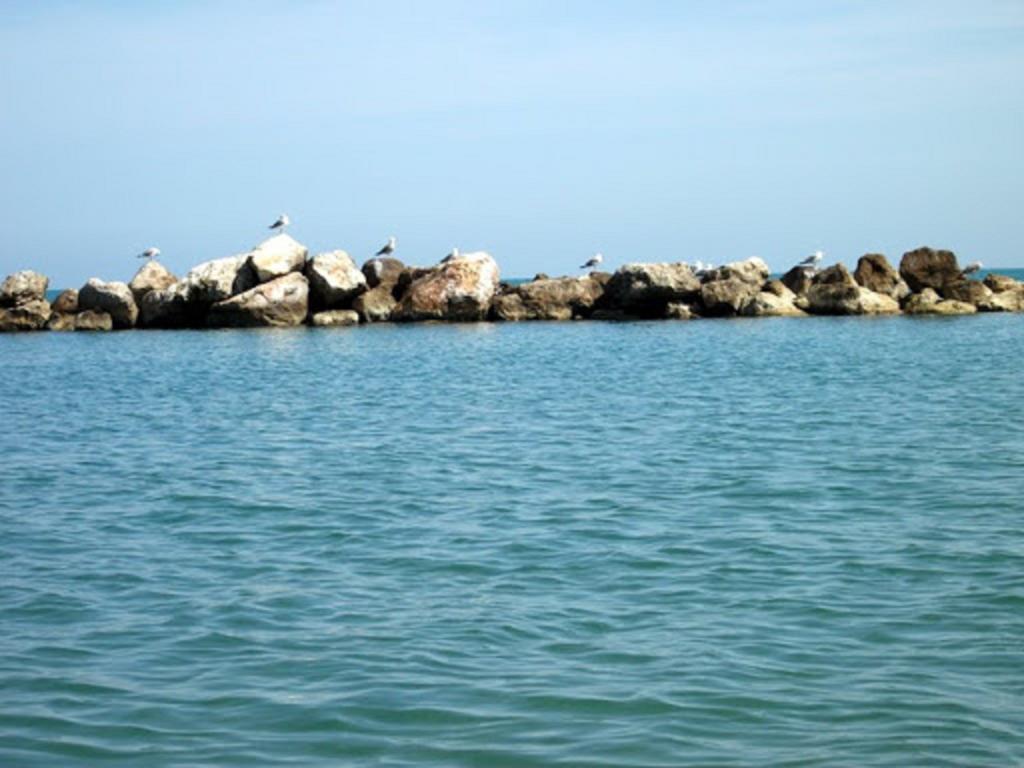Апартаменти Un Nido Sul Mare Монтезільвано Екстер'єр фото
