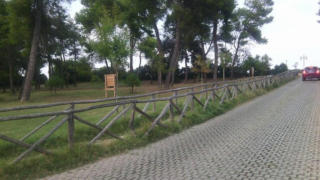 Апартаменти Un Nido Sul Mare Монтезільвано Екстер'єр фото